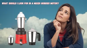best mixer grinder in India