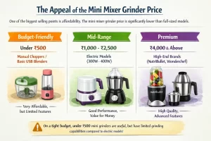 Best Mini Mixer Grinder